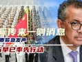 谭德赛最新爆料消息,揭秘疫情背后的惊人真相！”